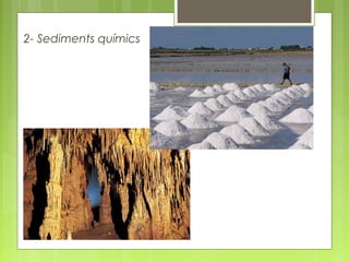 2- Sediments químics
 