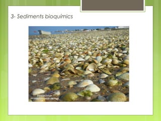 3- Sediments bioquímics
 