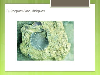 3- Roques Bioquímiques
 