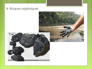 4- Roques orgàniques
 