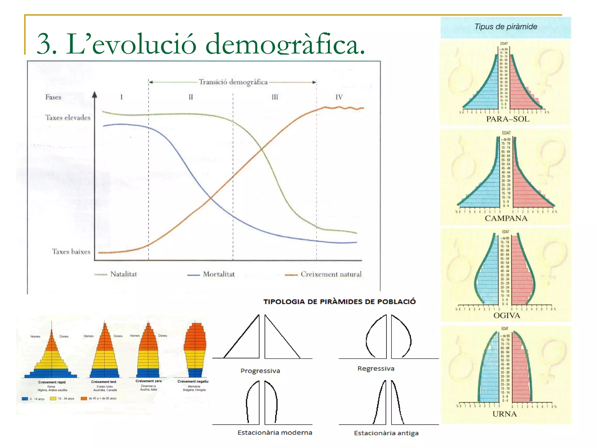 3. L’evolució demogràfica.
 
