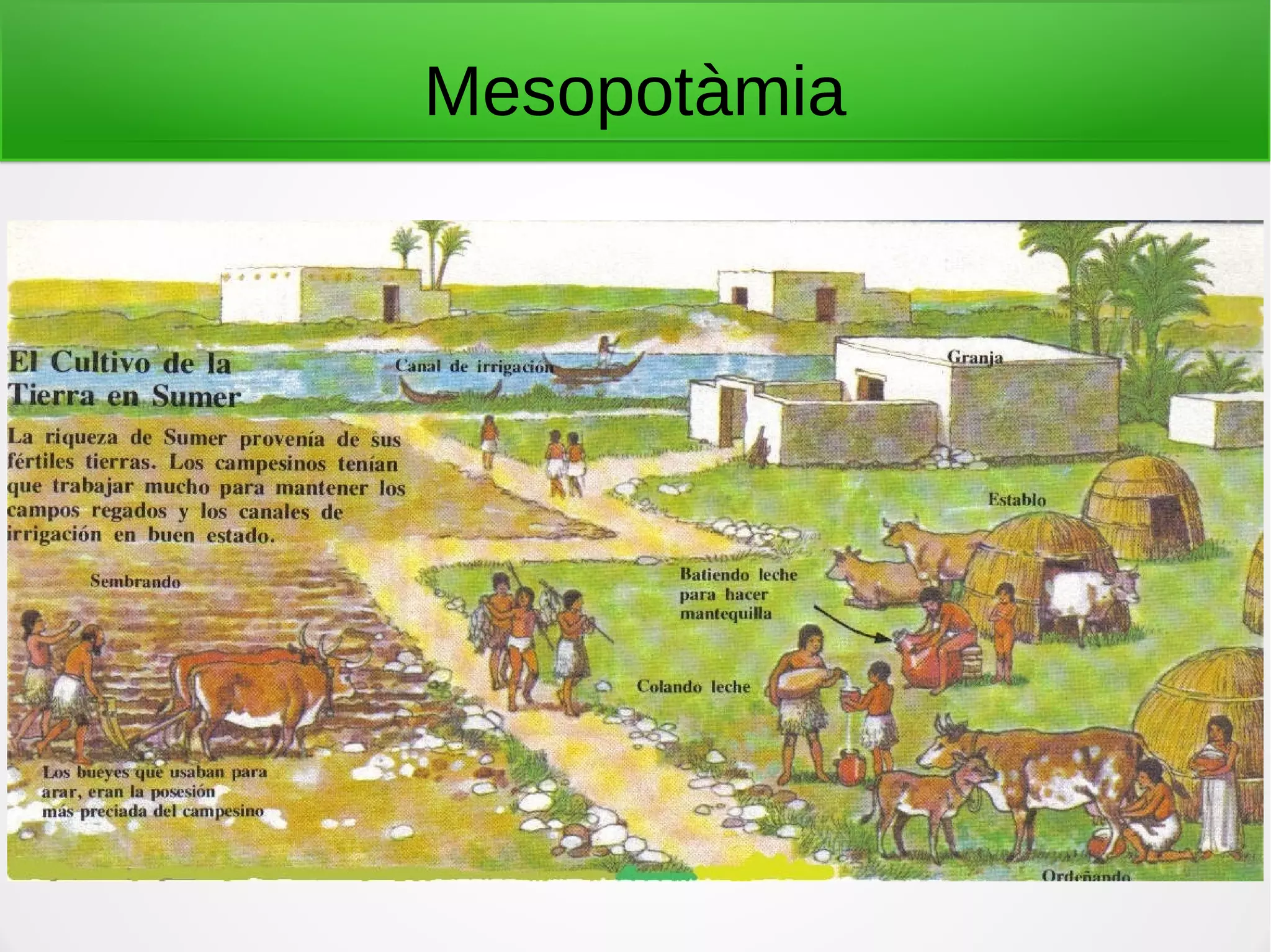 Mesopotàmia
 
