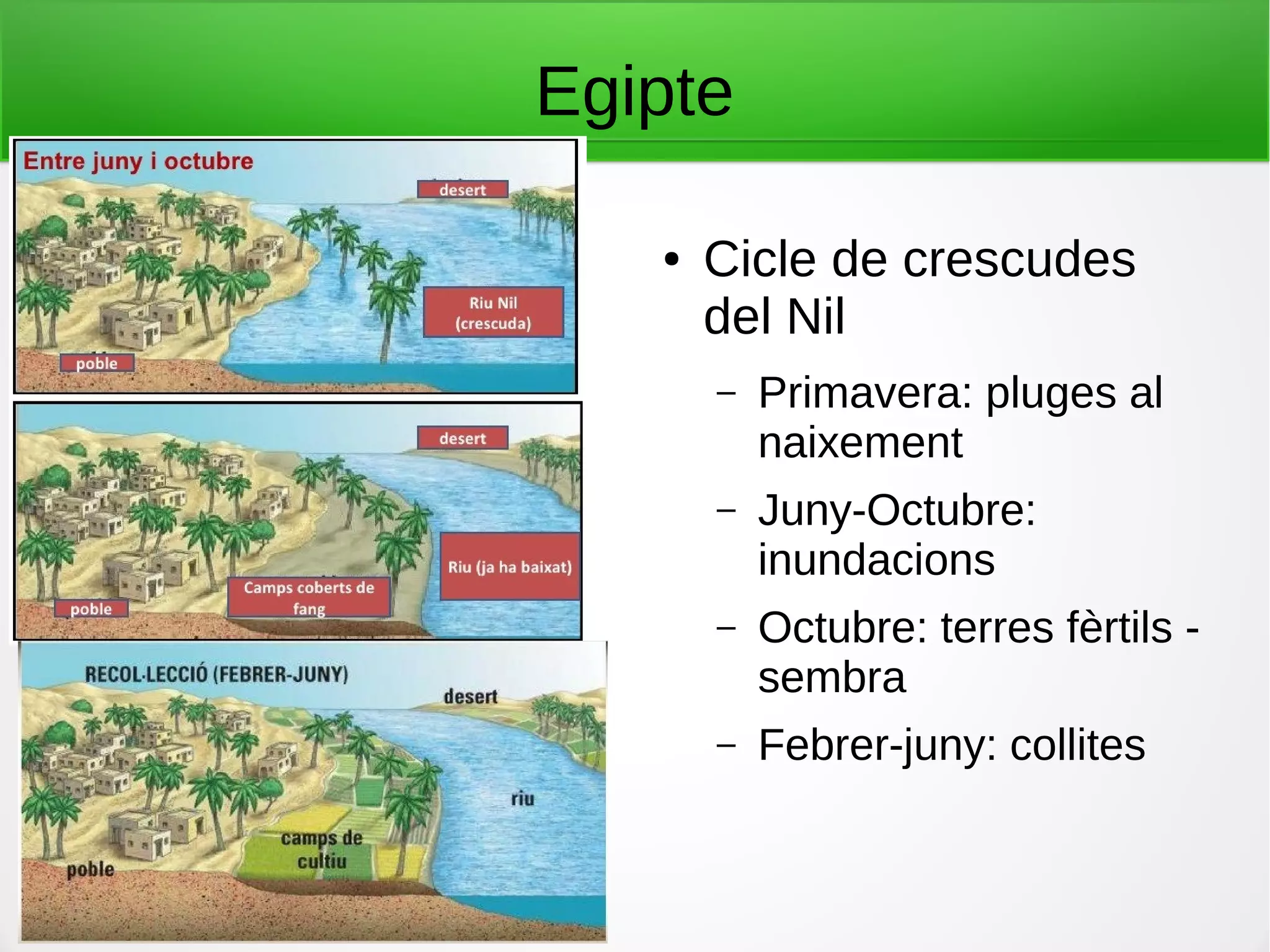 Egipte
● Cicle de crescudes
del Nil
– Primavera: pluges al
naixement
– Juny-Octubre:
inundacions
– Octubre: terres fèrtils -
sembra
– Febrer-juny: collites
 
