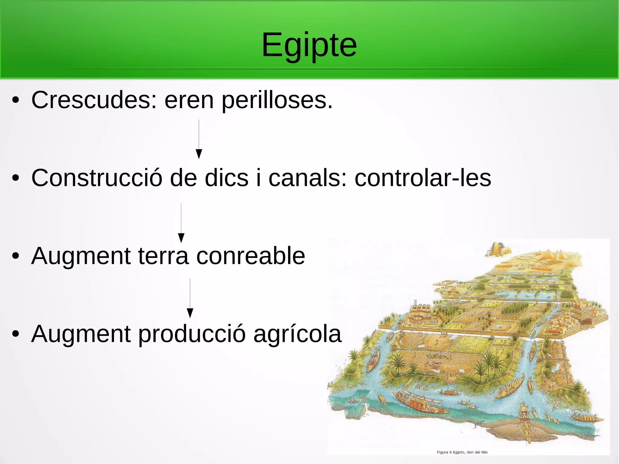 Egipte
● Crescudes: eren perilloses.
● Construcció de dics i canals: controlar-les
● Augment terra conreable
● Augment producció agrícola
 