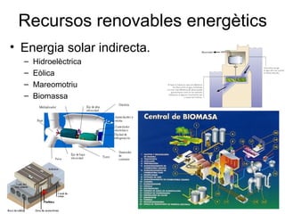 Recursos renovables energètics
• Energia solar indirecta.
  –   Hidroelèctrica
  –   Eòlica
  –   Mareomotriu
  –   Biomassa
 