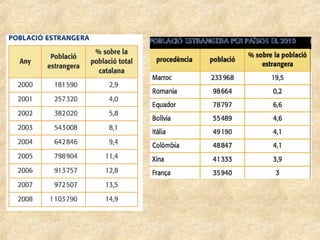 ELS FENOMENS MIGRATORIS