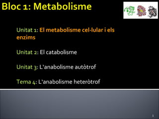 Unitat 1 :  El metabolisme cel·lular i els  enzims Unitat 2 : El catabolisme Unitat 3 : L‘anabolisme autòtrof Tema 4 : L‘anabolisme heteròtrof 