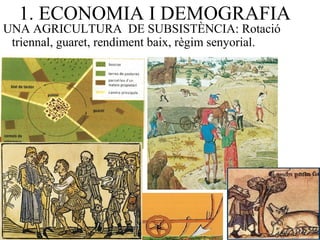 1. ECONOMIA I DEMOGRAFIA
UNA AGRICULTURA DE SUBSISTÈNCIA: Rotació
triennal, guaret, rendiment baix, règim senyorial.
 