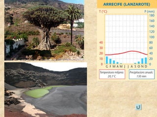 ELS PAISSATGES DE LA TERRA