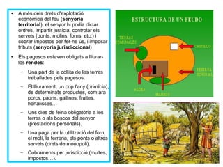 ● A més dels drets d'explotació 
econòmica del feu (senyoria 
territorial), el senyor hi podia dictar 
ordres, impartir justícia, controlar els 
serveis (ponts, molins, forns, etc.) i 
cobrar impostos per fer-ne ús, i imposar 
tributs (senyoria jurisdiccional) 
● Els pagesos estaven obligats a lliurar-los 
rendes: 
– Una part de la collita de les terres 
treballades pels pagesos. 
– El lliurament, un cop l'any (primícia), 
de determinats productes, com ara 
porcs, paons, gallines, fruites, 
hortalisses… 
– Uns dies de feina obligatòria a les 
terres o als boscos del senyor 
(prestacions personals). 
– Una paga per la utilització del forn, 
el molí, la ferreria, els ponts o altres 
serveis (drets de monopoli). 
– Cobraments per jurisdicció (multes, 
impostos…). 
 