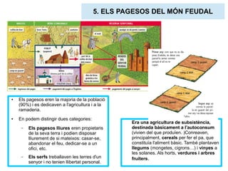 5. ELS PAGESOS DEL MÓN FEUDAL 
● Els pagesos eren la majoria de la població 
(90%) i es dedicaven a l'agricultura i a la 
ramaderia. 
● En podem distingir dues categories: 
– Els pagesos lliures eren propietaris 
de la seva terra i podien disposar 
lliurement de si mateixos: casar-se, 
abandonar el feu, dedicar-se a un 
ofici, etc. 
– Els serfs treballaven les terres d'un 
senyor i no tenien llibertat personal. 
Era una agricultura de subsistència, 
destinada bàsicament a l'autoconsum 
(vivien del que produïen. )Conreaven, 
principalment, cereals per fer el pa, que 
constituïa l'aliment bàsic. També plantaven 
llegums (mongetes, cigrons…) i vinyes a 
les solanes. Als horts, verdures i arbres 
fruiters. 
 