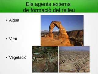 Els agents externs
de formació del relleu
● Aigua
● Vent
● Vegetació
 