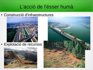 L'acció de l'ésser humà
● Construcció d'infraestructures
● Explotació de recursos
 