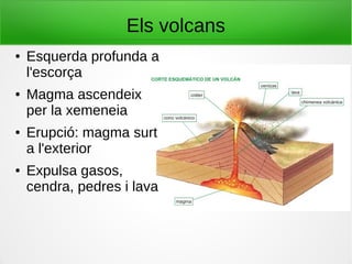 Els volcans
● Esquerda profunda a
l'escorça
● Magma ascendeix
per la xemeneia
● Erupció: magma surt
a l'exterior
● Expulsa gasos,
cendra, pedres i lava
 