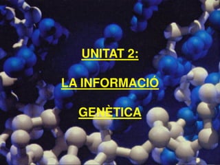 Unitat 2. La informació genètica