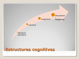 Estructures cognitives 