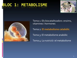 Tema 1: Els biocatalitzadors: enzims, vitamines i hormones Tema 2:  El metabolisme catabòlic Tema 3: El metabolisme anabòlic Tema 4: La nutrició i el metabolisme 