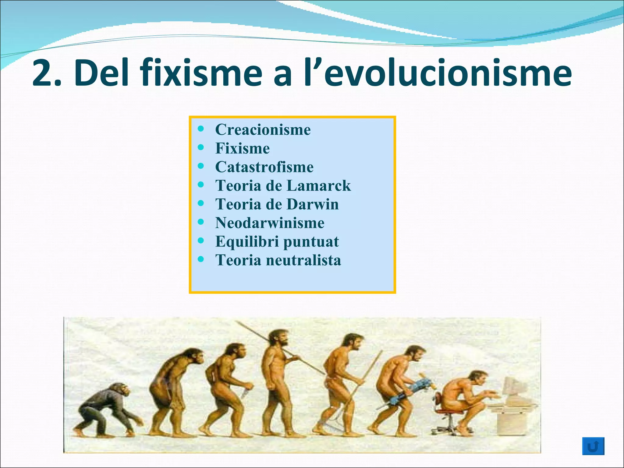 2. Del fixisme a l’evolucionisme Creacionisme Fixisme Catastrofisme Teoria de Lamarck Teoria de Darwin Neodarwinisme Equilibri puntuat Teoria neutralista 