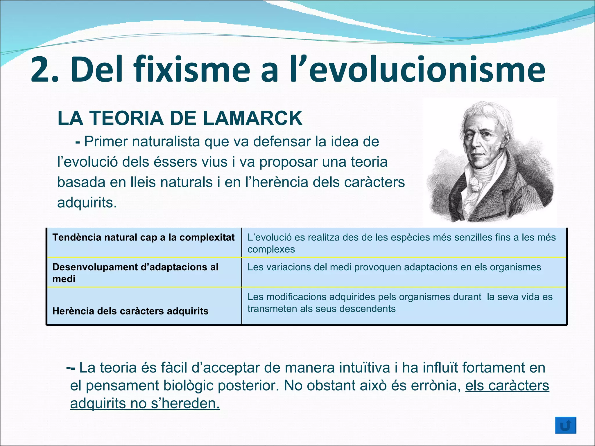 2. Del fixisme a l’evolucionisme LA TEORIA DE LAMARCK -  Primer naturalista que va defensar la idea de l’evolució dels éssers vius i va proposar una teoria basada en lleis naturals i en l’herència dels caràcters adquirits. - -  La teoria és fàcil d’acceptar de manera intuïtiva i ha influït fortament en el pensament biològic posterior. No obstant això és errònia,  els caràcters adquirits no s’hereden. Tendència natural cap a la complexitat L’evolució es realitza des de les espècies més senzilles fins a les més complexes Desenvolupament d’adaptacions al medi Les variacions del medi provoquen adaptacions en els organismes Herència dels caràcters adquirits Les modificacions adquirides pels organismes durant  la seva vida es transmeten als seus descendents 