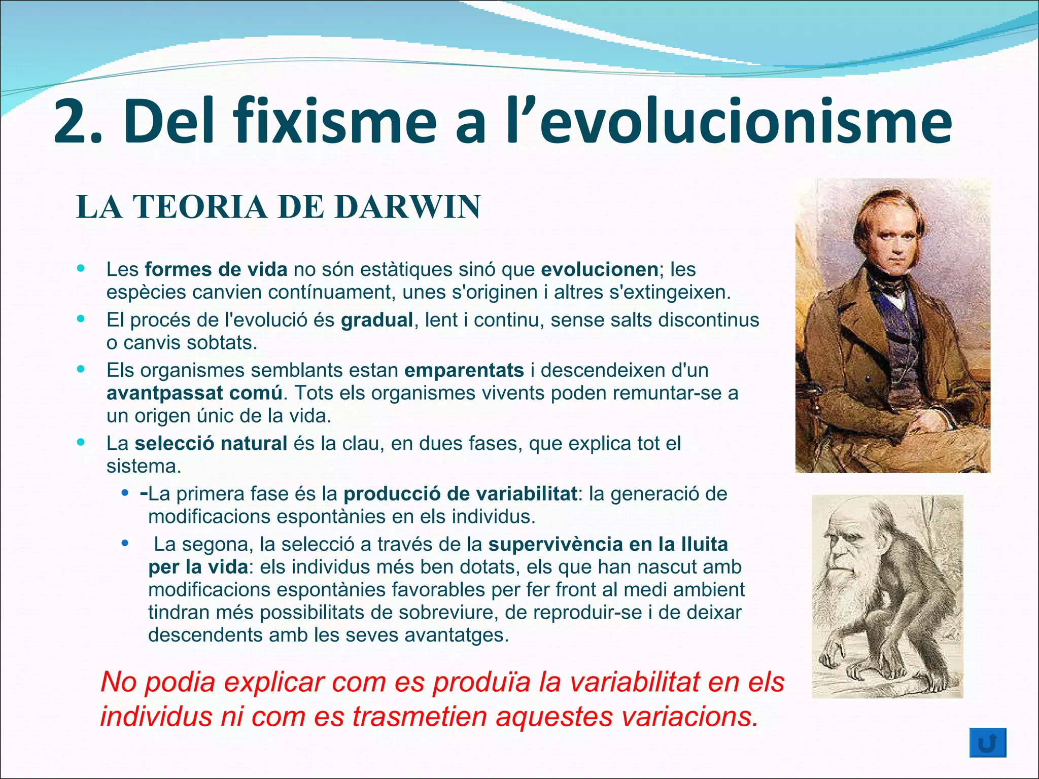2. Del fixisme a l’evolucionisme LA TEORIA DE DARWIN Les  formes de vida  no són estàtiques sinó que  evolucionen ; les espècies canvien contínuament, unes s'originen i altres s'extingeixen. El procés de l'evolució és  gradual , lent i continu, sense salts discontinus o canvis sobtats. Els organismes semblants estan  emparentats  i descendeixen d'un  avantpassat comú . Tots els organismes vivents poden remuntar-se a un origen únic de la vida. La  selecció natural  és la clau, en dues fases, que explica tot el sistema.  La primera fase és la  producció de variabilitat : la generació de modificacions espontànies en els individus. La segona, la selecció a través de la  supervivència en la lluita per la vida : els individus més ben dotats, els que han nascut amb modificacions espontànies favorables per fer front al medi ambient tindran més possibilitats de sobreviure, de reproduir-se i de deixar descendents amb les seves avantatges. - No podia explicar com es produïa la variabilitat en els individus ni com es trasmetien aquestes variacions. 