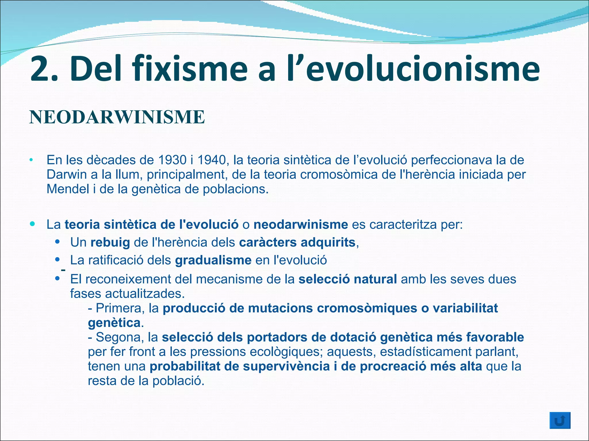 2. Del fixisme a l’evolucionisme NEODARWINISME En les dècades de 1930 i 1940, la teoria sintètica de l’evolució perfeccionava la de Darwin a la llum, principalment, de la teoria cromosòmica de l'herència iniciada per Mendel i de la genètica de poblacions.  La  teoria sintètica de l'evolució  o  neodarwinisme  es caracteritza per: Un  rebuig  de l'herència dels  caràcters adquirits , La ratificació dels  gradualisme  en l'evolució  El reconeixement del mecanisme de la  selecció natural  amb les seves dues fases actualitzades. - Primera, la  producció de mutacions cromosòmiques o variabilitat  genètica . - Segona, la  selecció dels portadors de dotació genètica més favorable   per fer front a les pressions ecològiques; aquests, estadísticament parlant,  tenen una  probabilitat de supervivència i de procreació més alta  que la  resta de la població. - 