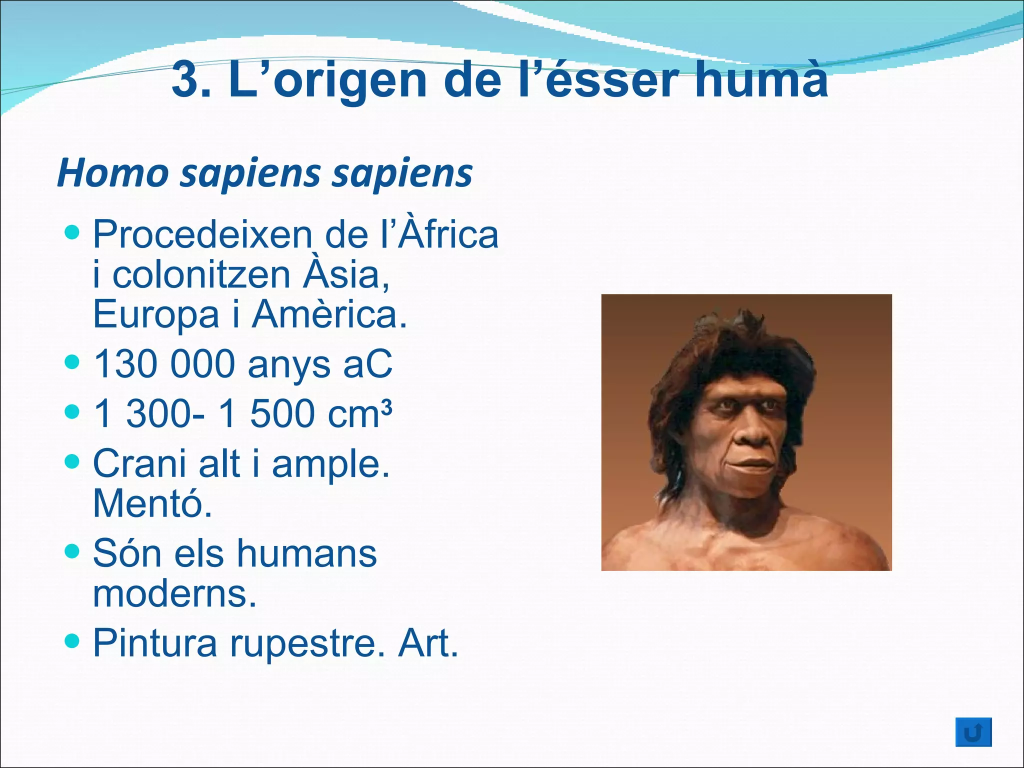 Homo sapiens sapiens Procedeixen de l’Àfrica i  colonitzen Àsia, Europa i Amèrica . 130 000 anys aC  1 300- 1 500 cm 3 Crani alt i ample. Mentó. Són els humans moderns. Pintura rupestre. Art. 3.  L’origen de l’ésser humà 
