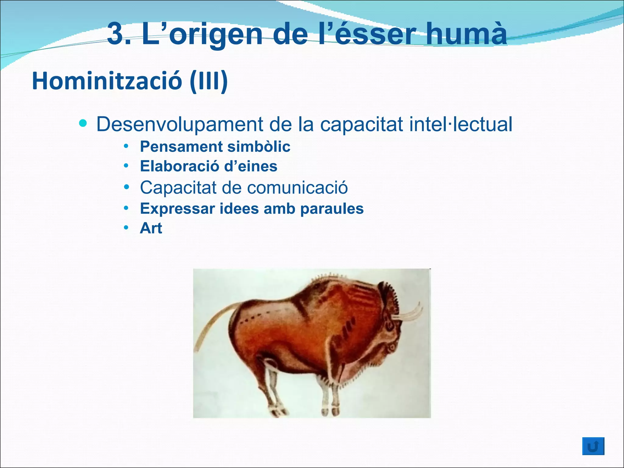 Hominització (III) Desenvolupament de la capacitat intel·lectual Pensament simbòlic Elaboració d’eines  Capacitat de comunicació  Expressar idees amb paraules  Art 3.  L’origen de l’ésser humà 
