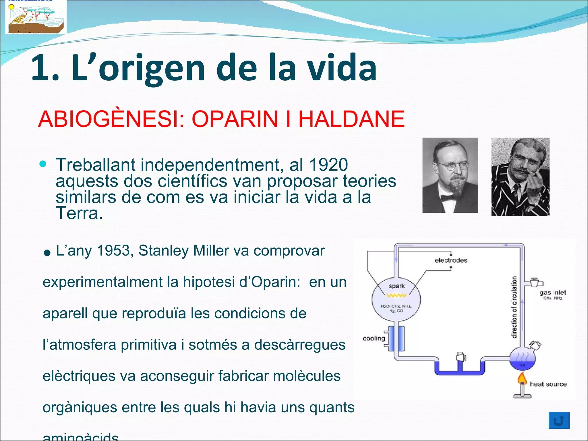 1. L’origen de la vida Treballant independentment, al 1920 aquests dos científics van proposar teories similars de com es va iniciar la vida a la Terra. ABIOGÈNESI: OPARIN I HALDANE  L’any 1953, Stanley Miller va comprovar experimentalment la hipotesi d’Oparin:  en un aparell que reproduïa les condicions de l’atmosfera primitiva i sotmés a descàrregues elèctriques va aconseguir fabricar molècules orgàniques entre les quals hi havia uns quants aminoàcids. 