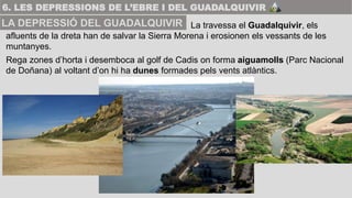 La travessa el Guadalquivir, els
afluents de la dreta han de salvar la Sierra Morena i erosionen els vessants de les
munta...