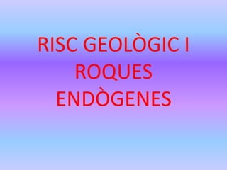 RISC GEOLÒGIC I 
ROQUES 
ENDÒGENES 
 