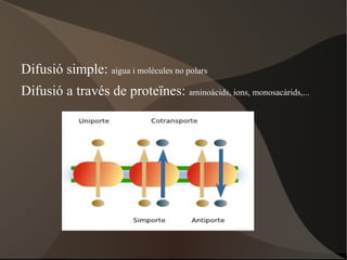 1. La membrana plasmàtica http://www.youtube.com/watch?v=Rl5EmUQdkuI&feature=related Model del mosaic fluid Singer i Nicholson 1972 