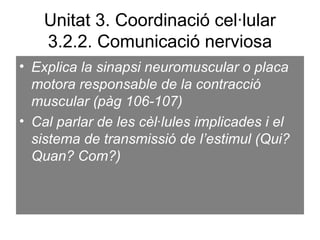 Unitat 3. Coordinació cel·lular
3.2.2. Comunicació nerviosa
• Explica la sinapsi neuromuscular o placa
motora responsable de la contracció
muscular (pàg 106-107)
• Cal parlar de les cèl·lules implicades i el
sistema de transmissió de l’estimul (Qui?
Quan? Com?)
 