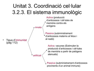 Unitat 3. Coordinació cel·lular
3.2.3. El sistema immunològic
• Tipus d’immunitat
(pàg 112)
innata
Activa: vacunes (Estimulen la
producció d’anticossos i cèl·lules
de memòria a partir de patògens
atenuats)
Passiva (subministrament
d’anticossos materns al fetus i
al nadó)
artificial
Activa (producció
d’anticossos i cèl·lules de
memòria contra els
antígens
Passiva (subministrament d’anticossos
provinents d’un animal immune)
 