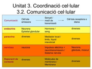 Unitat 3. Coordinació cel·lular
3.2. Comunicació cel·lular
Cèl·lula
emissora
Cèl·lula receptora o
diana
Senyal /
medi de
transmissió
Hormona /
sang
Mediador local /
limfa, líquid
intersticial
Impulsos elèctrics +
neurotransmissors /
Sistema nerviós
Molècules de
membrana /
Membrana
Comunicació:
endocrina
paracrina
nerviosa
Depenent de
contacte
Neurona
Epitelial glandular
neurona
diverses
diverses
diverses
diverses
Neurona,
glàndula, múscul
diverses
 