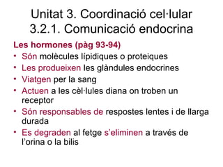 Unitat 3. Coordinació cel·lular
3.2.1. Comunicació endocrina
Les hormones (pàg 93-94)
• Són molècules lípidiques o proteiques
• Les produeixen les glàndules endocrines
• Viatgen per la sang
• Actuen a les cèl·lules diana on troben un
receptor
• Són responsables de respostes lentes i de llarga
durada
• Es degraden al fetge s’eliminen a través de
l’orina o la bilis
 