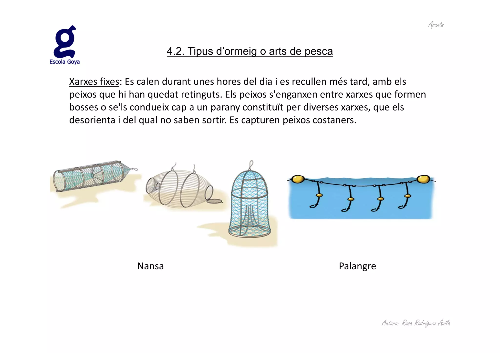Apunts


                       4.2. Tipus d’ormeig o arts de pesca

Xarxes fixes: Es calen durant unes hores del dia i es recullen més tard, amb els
peixos que hi han quedat retinguts. Els peixos s'enganxen entre xarxes que formen
bosses o se'ls condueix cap a un parany constituït per diverses xarxes, que els
desorienta i del qual no saben sortir. Es capturen peixos costaners.




               Nansa                                         Palangre




                                                                        Autora: Rosa Rodríguez Àvila
 