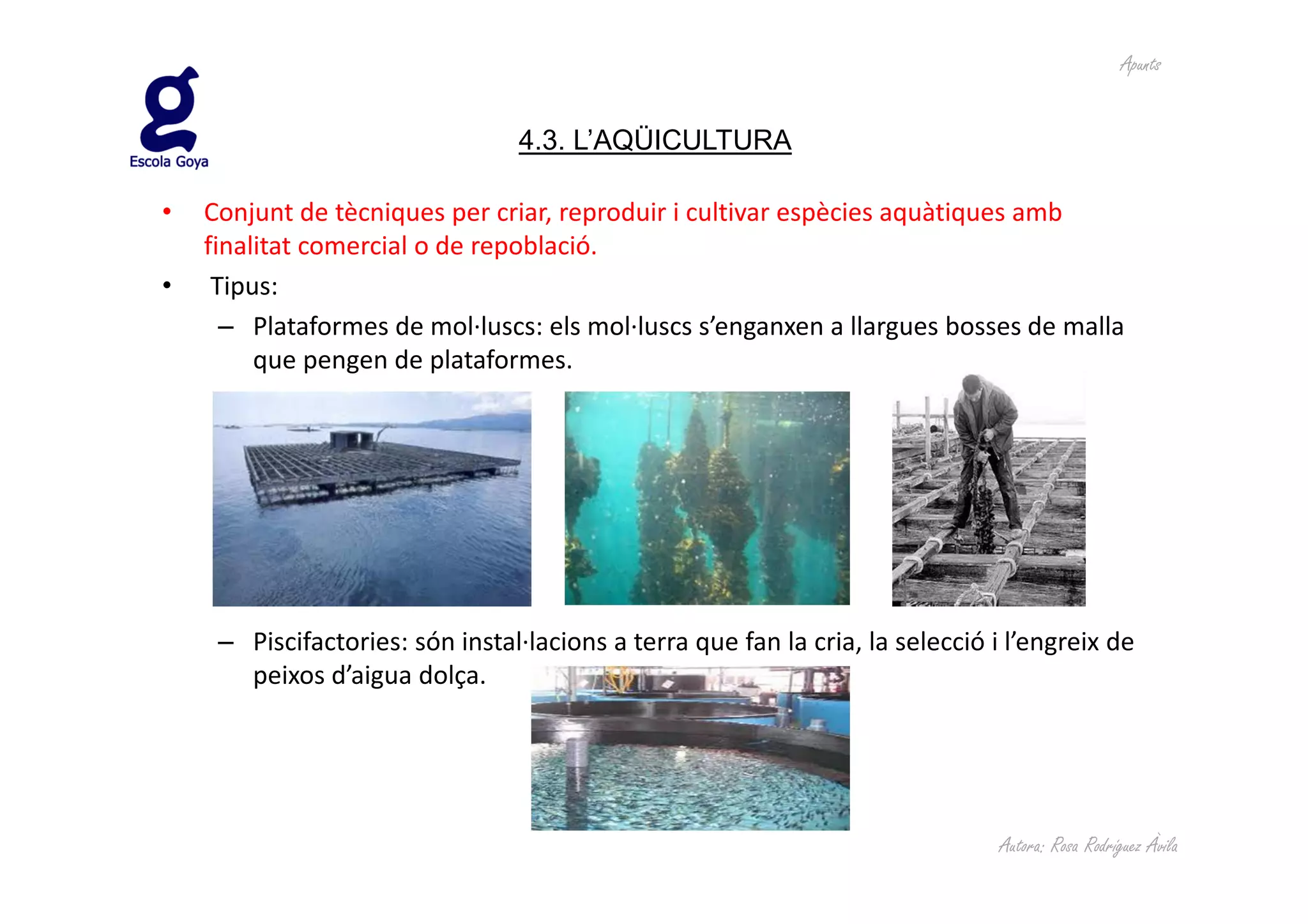 Apunts


                                 4.3. L’AQÜICULTURA

•   Conjunt de tècniques per criar, reproduir i cultivar espècies aquàtiques amb
    finalitat comercial o de repoblació.
•    Tipus:
      – Plataformes de mol·luscs: els mol·luscs s’enganxen a llargues bosses de malla
         que pengen de plataformes.




     – Piscifactories: són instal·lacions a terra que fan la cria, la selecció i l’engreix de
       peixos d’aigua dolça.




                                                                                Autora: Rosa Rodríguez Àvila
 