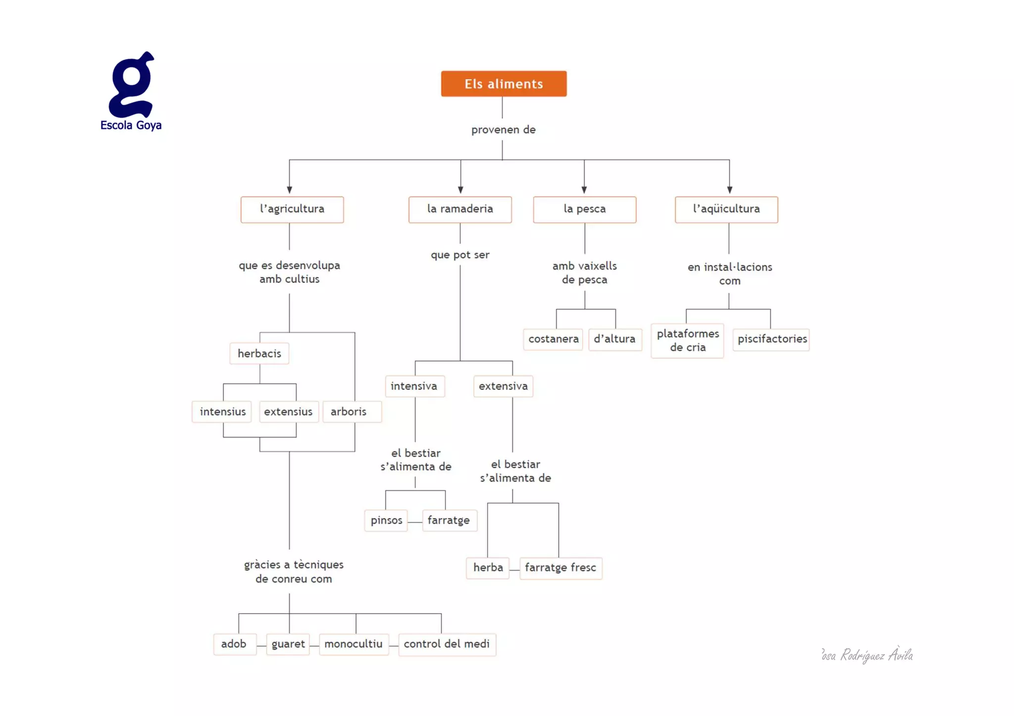 Autora: Rosa Rodríguez Àvila
 