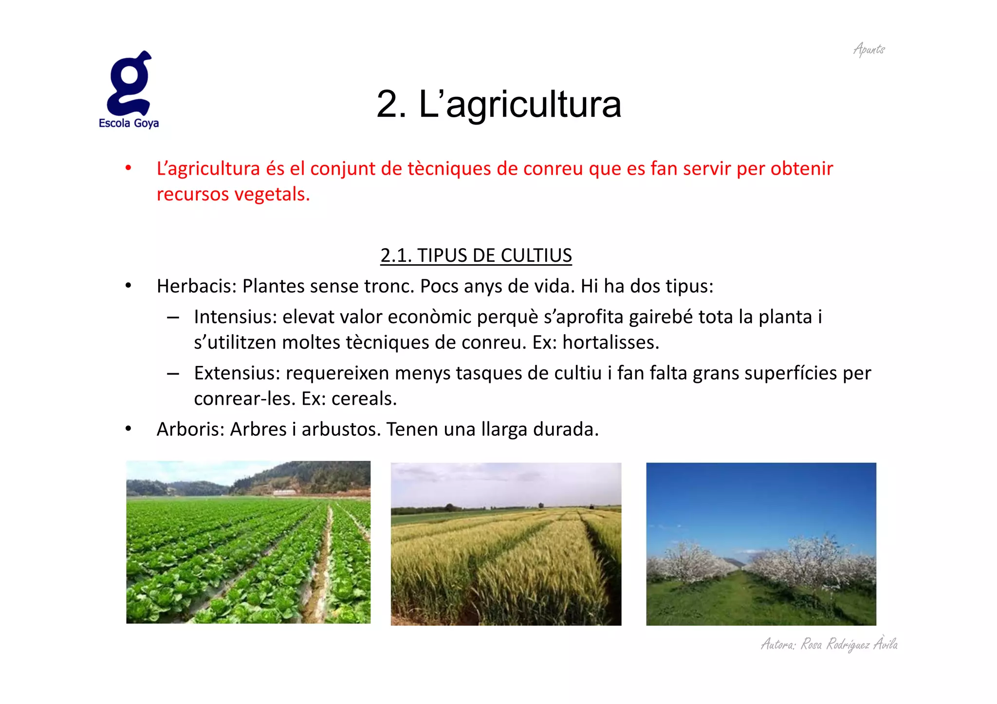 Apunts


                             2. L’agricultura
•   L’agricultura és el conjunt de tècniques de conreu que es fan servir per obtenir
    recursos vegetals.

                               2.1. TIPUS DE CULTIUS
•   Herbacis: Plantes sense tronc. Pocs anys de vida. Hi ha dos tipus:
     – Intensius: elevat valor econòmic perquè s’aprofita gairebé tota la planta i
        s’utilitzen moltes tècniques de conreu. Ex: hortalisses.
     – Extensius: requereixen menys tasques de cultiu i fan falta grans superfícies per
        conrear-les. Ex: cereals.
•   Arboris: Arbres i arbustos. Tenen una llarga durada.




                                                                           Autora: Rosa Rodríguez Àvila
 