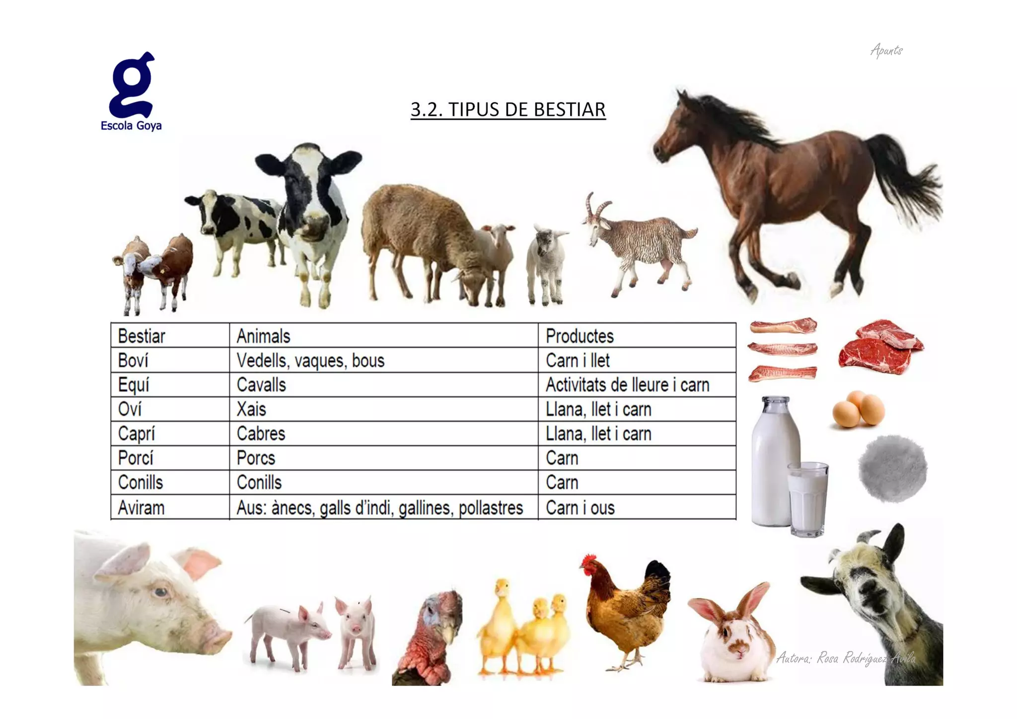 Apunts


3.2. TIPUS DE BESTIAR




                        Autora: Rosa Rodríguez Àvila
 