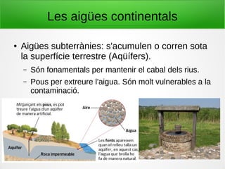 Les aigües continentals
● Aigües subterrànies: s'acumulen o corren sota
la superfície terrestre (Aqüífers).
– Són fonamentals per mantenir el cabal dels rius.
– Pous per extreure l'aigua. Són molt vulnerables a la
contaminació.
 