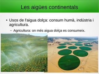 Les aigües continentals
● Usos de l'aigua dolça: consum humà, indústria i
agricultura.
– Agricultura: on més aigua dolça es consumeix.
 