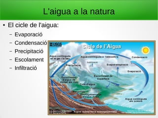 L'aigua a la natura
● El cicle de l'aigua:
– Evaporació
– Condensació
– Precipitació
– Escolament
– Infiltració
 