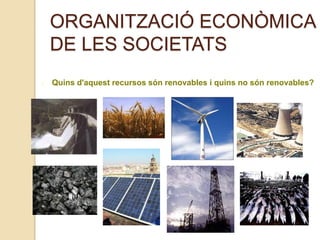 ORGANITZACIÓ ECONÒMICA
DE LES SOCIETATS
Quins d'aquest recursos són renovables i quins no són renovables?
 