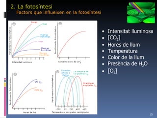 2. La fotosíntesi Factors que influeixen en la fotosíntesi Intensitat lluminosa [CO 2 ] Hores de llum Temperatura Color de la llum Presència de H 2 O [O 2 ] 