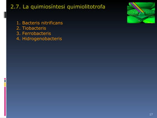 2.7. La quimiosíntesi quimiolitotrofa 1. Bacteris nitrificans 2. Tiobacteris 3. Ferrobacteris 4. Hidrogenobacteris 