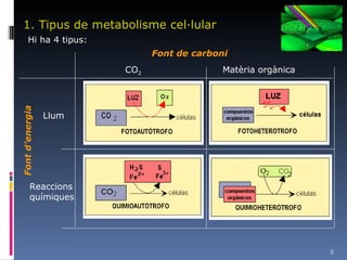 1. Tipus de metabolisme cel·lular Hi ha 4 tipus: Font de carboni CO 2 Matèria orgànica Font d’energia Llum Reaccions químiques 
