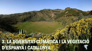 3. LA DIVERSITAT CLIMÀTICA I LA VEGETACIÓ
D’ESPANYA I CATALUNYA
 