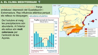 Varietat d’influència atlàntica: franja
andalusa i depressió del Guadalquivir i
Extremadura. Rep influència atlàntica perq...