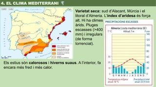 Varietat seca: sud d’Alacant, Múrcia i el
litoral d’Almeria. L’índex d’aridesa és força
alt. Hi ha climes
àrids. Pluges
es...